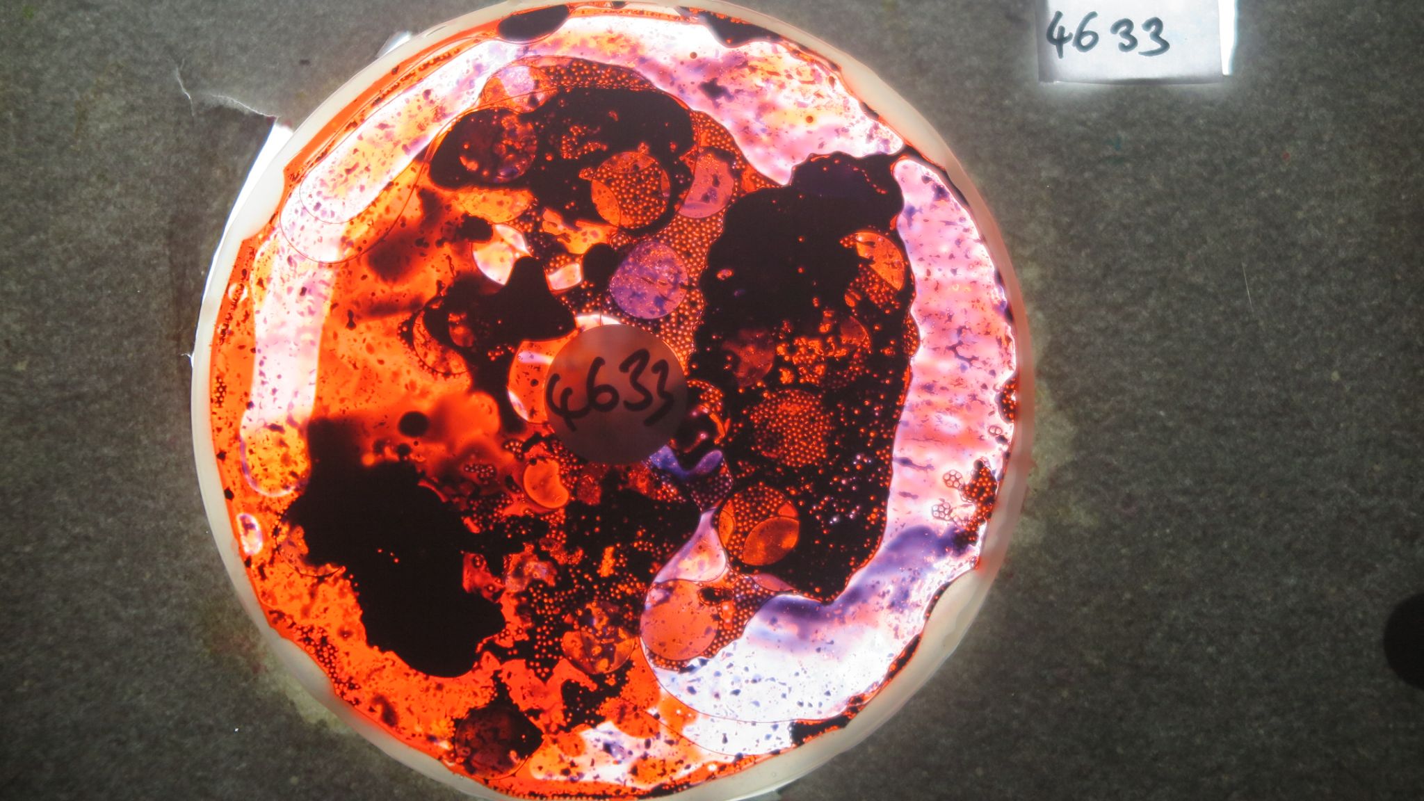 BV4633 bubble vision oil wheel